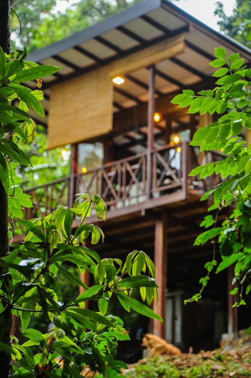 Villa Skygazer Ella Exterior photo